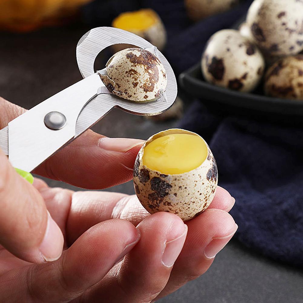 Egg Separator Tool - Pigeon caille fissure ouverte petite coquille