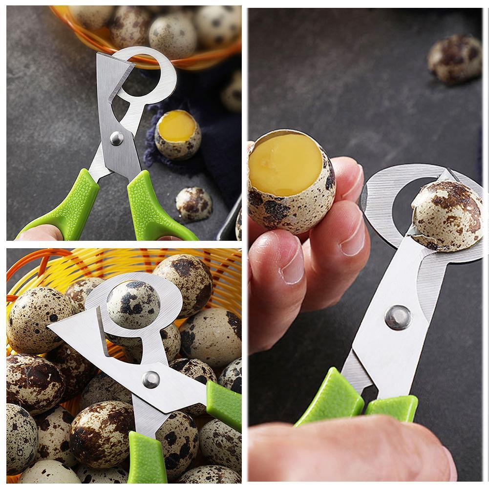Pigeon caille fissure ouverte  - Egg Separator Tool avis et prix